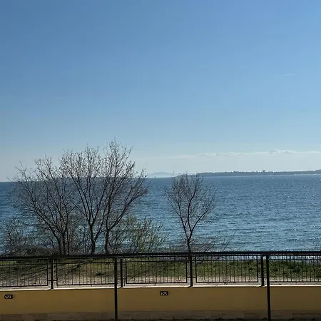 Horizon 8,1 'a' * 圣弗拉斯