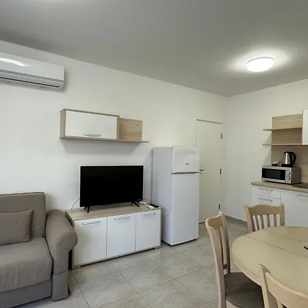 Horizon 8,1 'a' 圣弗拉斯