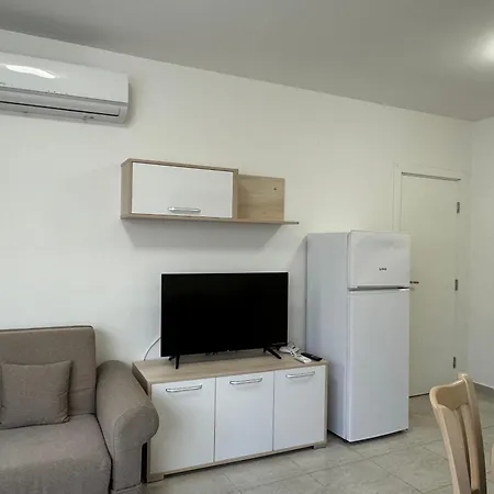 Horizon 8,1 'a' 圣弗拉斯