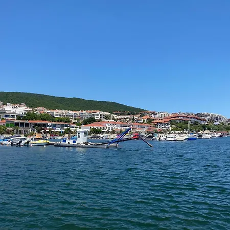 Horizon 8,1 'a' Szveti Vlasz